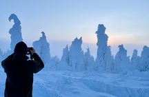 Arctic Circle Northern Lights Dalton Highway Winter Tour