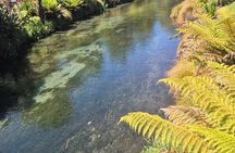 Half Day Christchurch Scenic Tour with Local Guide