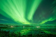 Tromsø: Northern Lights Chase, Local Guide, Foods & Pictures