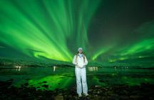 Tromsø: Northern Lights Chase, Local Guide, Foods & Pictures