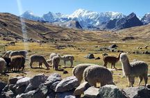Full Day Ausangate 7 Lakes Tour from Cusco with Lunch