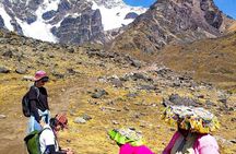 Full Day Ausangate 7 Lakes Tour from Cusco with Lunch