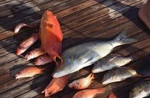 Private Boat, Fishing, Snorkeling & Dolphins + Lunch – Hurghada