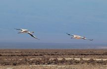 Tour of the Red Stones and High Plains in the Andes
