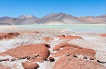 Full Day Tour to Red Stones, High Plains and Chaxa