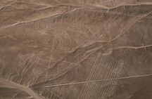 From Ica Overflight Nazca Lines with transfers included