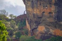 Sigiriya Hike & Minneriya Safari Private Full Day Tour