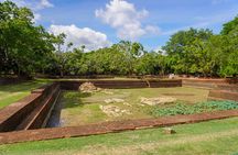 Sigiriya Hike & Minneriya Safari Private Full Day Tour
