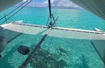 Half day catamaran sailing in the Sailinity Lagoon