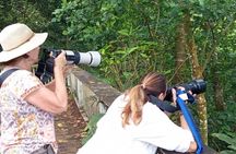 Upolu Island Tours with Coconut Tours Samoa