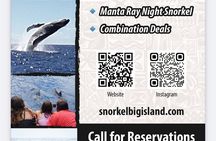 Manta Ray Night Snorkel Adventure in Kailua-Kona
