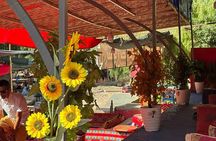 Atlas Mountains and Ourika Valley Day Trip from Marrakech