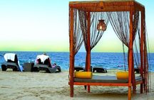 Qatar Desert Safari Tour with Bedouin Camp Lunch or Dinner