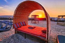 Qatar Desert Safari Tour with Bedouin Camp Lunch or Dinner