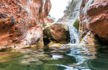 Paradise Valley & Imouzzer Waterfalls Experience with Local Lunch