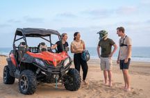 Timlalin Dunes Buggy Adventure and Moroccan Tea