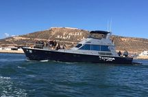 Agadir Boat Trip with Swimming & Snacks 