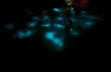 Private Bio Bay Night Tour in Grand Cayman