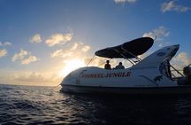 Snorkel Jungle - Glass Bottom Boat Snorkel Tour
