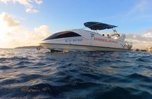 Snorkel Jungle - Glass Bottom Boat Snorkel Tour