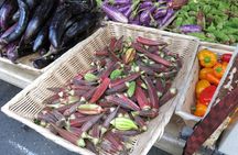 Asian Vegetarian Food and Culture Tour in NYC with Dim Sum