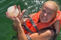 Dolphin Sightseeing and Shell Island Snorkel Tour