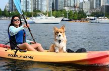 Vancouver Smooth Classic Kayak Tour 