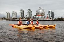 Vancouver Smooth Classic Kayak Tour 