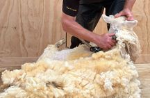 Farm Tour and Milford Sound Nature Cruise from Te Anau