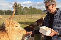 Farm Tour and Milford Sound Nature Cruise from Te Anau