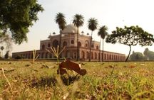 Old and New Delhi Private Day Tour with Options