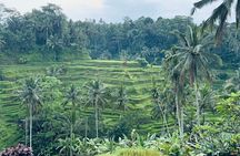 Benoa Port : Cruise Ship Shore Excursion - Private Guided Tour