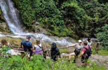 Chiang Mai Mae Kam Pong Wild Gibbon Jungle Trek with Transfer