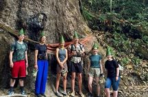 Chiang Mai Mae Kam Pong Wild Gibbon Jungle Trek with Transfer