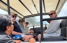 Safari 4 by 4 Adventure Tour in Moorea