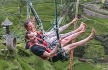 Half Day Ubud Tour with Zipline, Rice Terrace and Monkey Forest