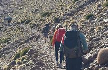 Atlas Mountain : Imlil Day Tour with Guide, camel ride and Lunch 