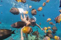 Day Tour West Nusa Penida and Snorkeling From Nusa Lembongan