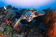 Day Tour West Nusa Penida and Snorkeling From Nusa Lembongan