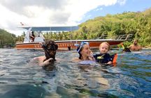 Manta Ray Snorkeling From Bali