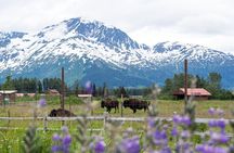 Self Guided Driving Audio Tour Alaska Bundle