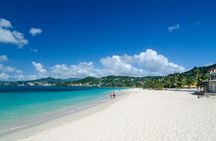 Waterfall, Rainforest & Beach Escape – A Relaxed Grenada Tour