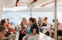 Genoa: Portofino Guided Shore Excursion & Private Boat Tour