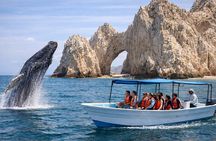 2-Hour Shore Excursion | Arch, Lover’s Beach & Whale Encounters