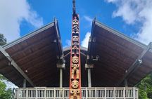 Private Auckland West Coast Karekare Falls, Rainforest and Piha