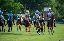 Polo Lessons in Mar del Plata: Learn and Improve Your Game