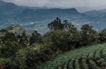 Walking Through Muisca Time