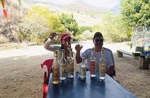 Oaxaca: Wild Agave Hiking Experience with Trail-Side Tasting