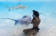 Private Boat Tours on Moorea Lagoon
