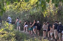 Sierra Madre Village Hike & All Inclusive Rancho BBQ Experience